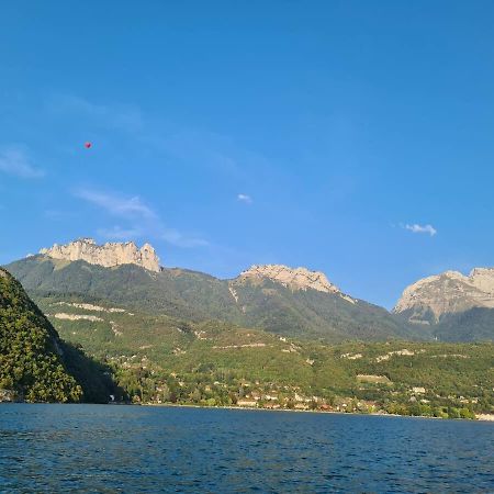 Joli T2 Lumineux Et Cosy Au Centre D'Annecy Apartment Екстериор снимка